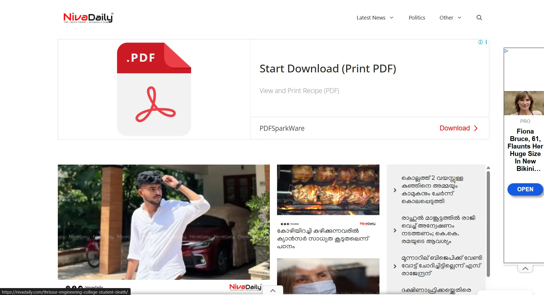 NivaDaily Website Screenshot